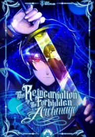 The Reincarnation of the Forbidden Archmage